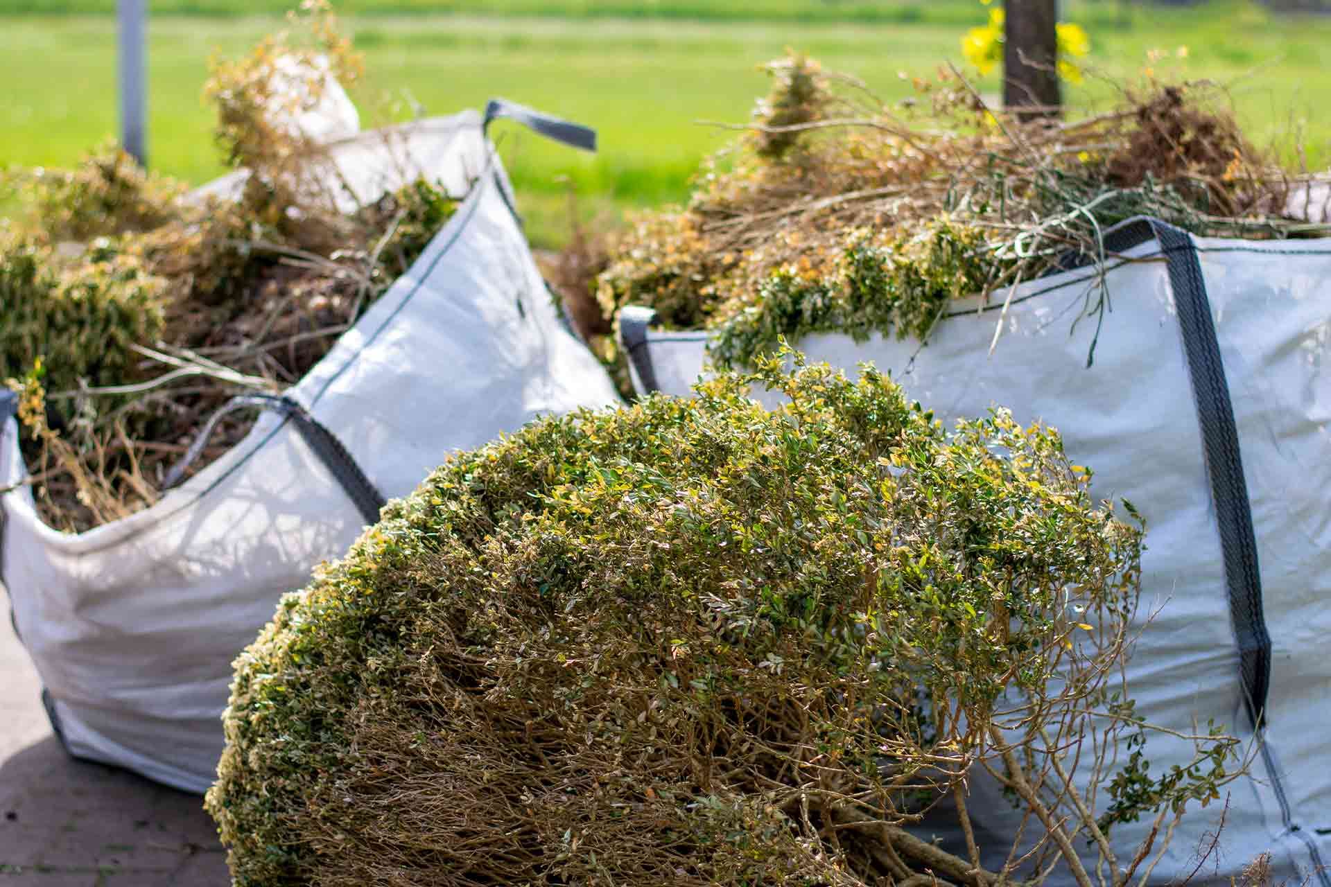 Schenefeld Gartenabfall: Effiziente Lösungen für Ihre Entsorgung