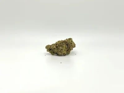 Jealous Strain – Eine Sorte, die Genießer begeistert