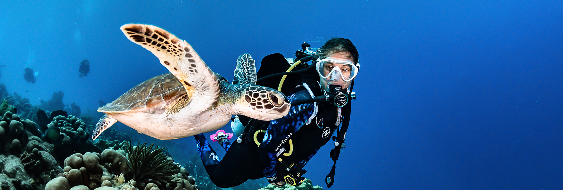 Erleben Sie die Magie der Meere: Ein Tauchgang im Similan Tauchcenter mit Khaolakexplorer