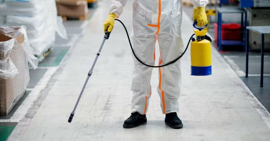 Mit Kammerjäger in der Nähe Schädlinge nachhaltig und umweltfreundlich bekämpfen