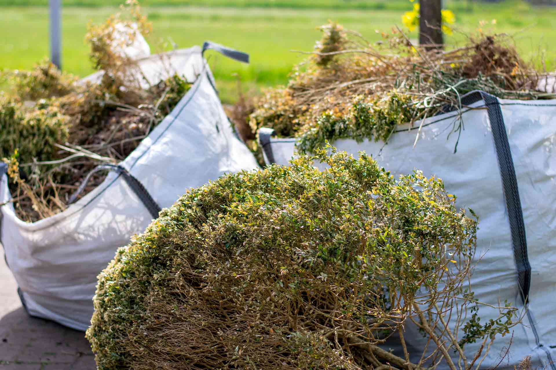 Schenefeld Gartenabfall: Effiziente Lösungen für Ihre Entsorgung