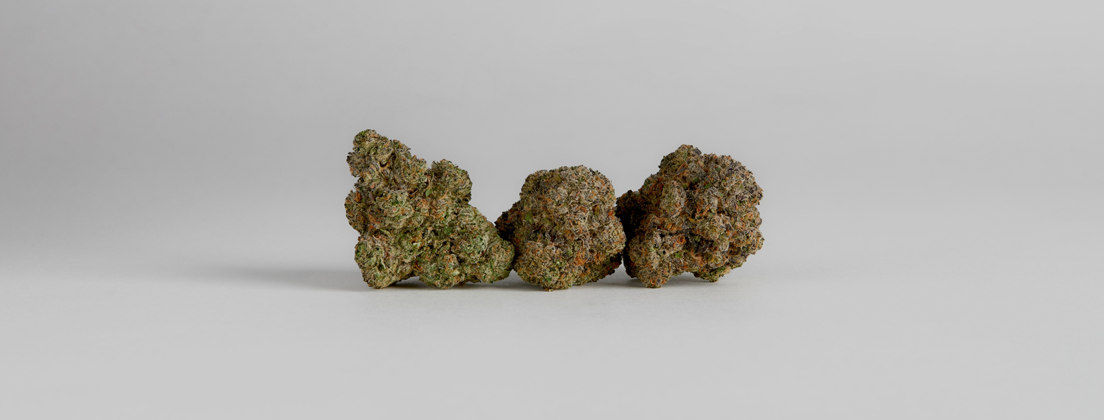 Jealous Strain – Eine Sorte, die Genießer begeistert