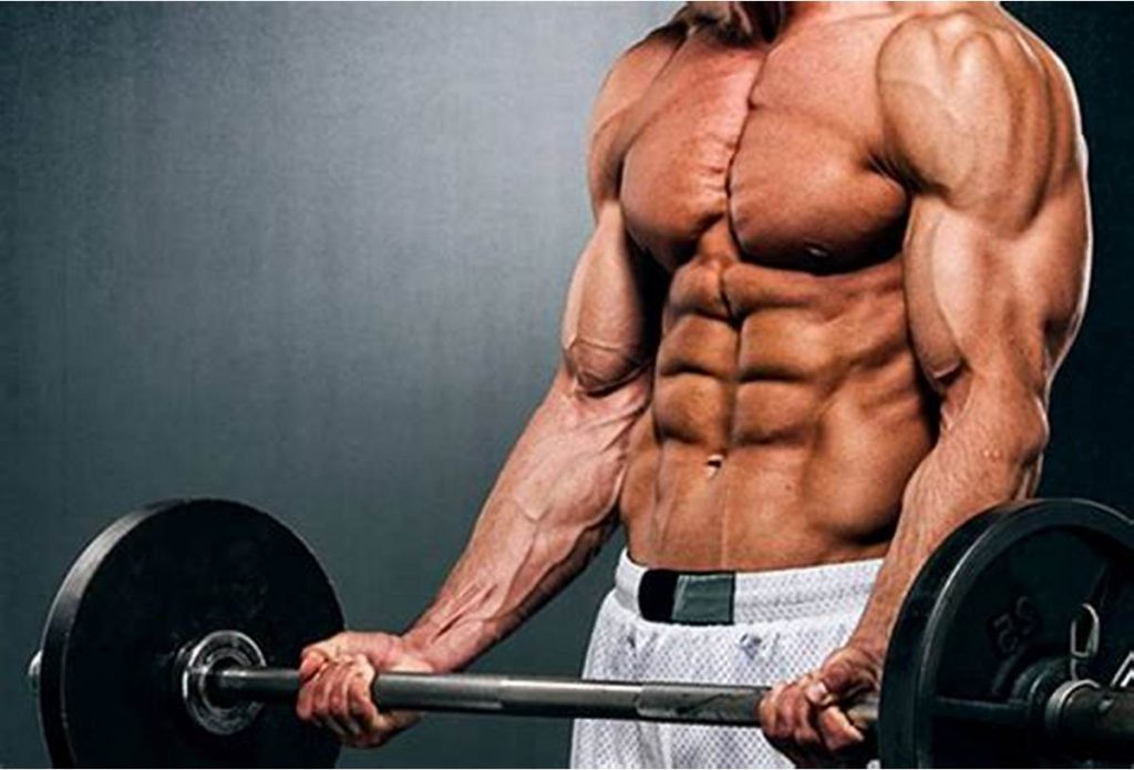 Myostatin Blocker: Das ultimative Muskelwachstum mit Fatburnerking