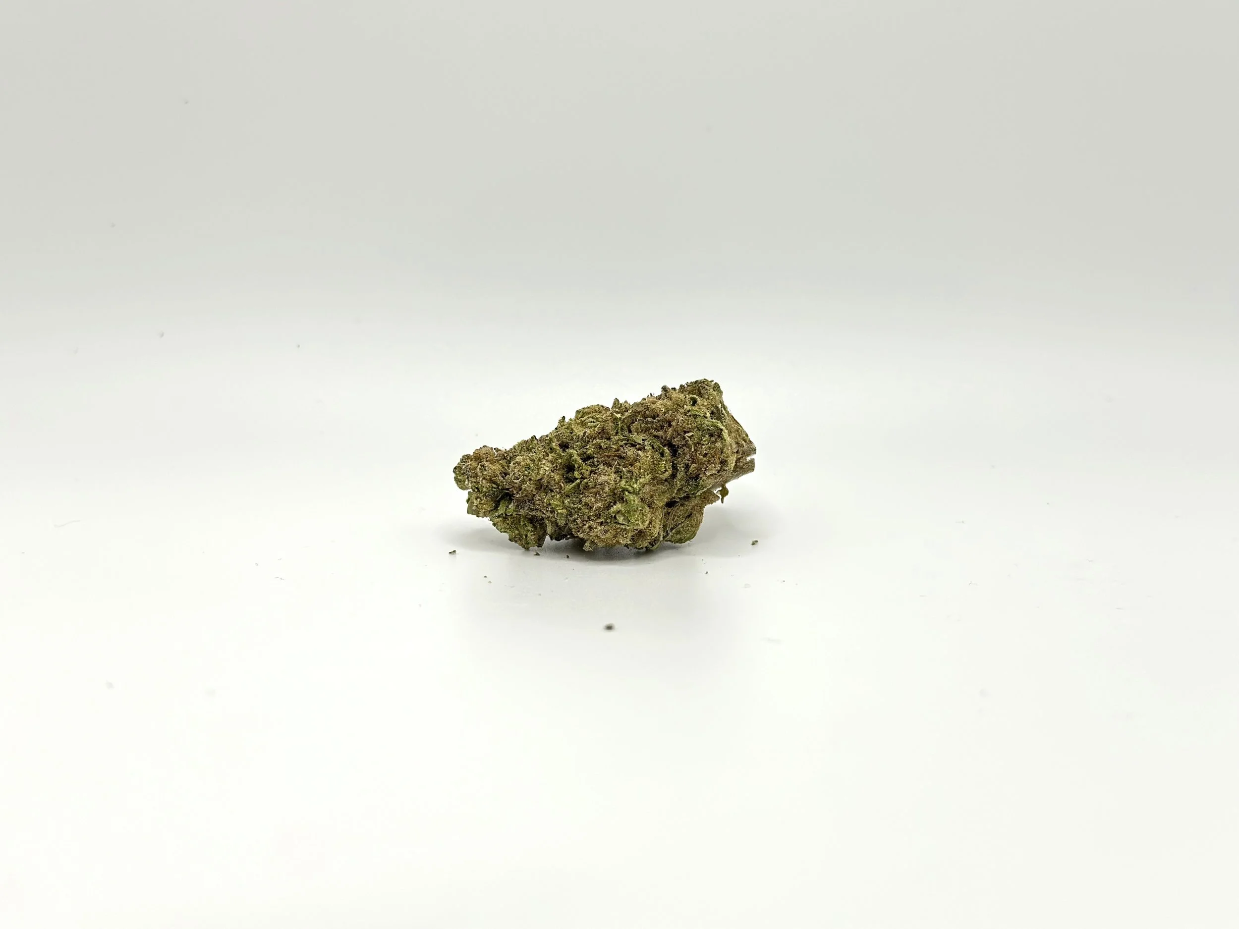 Jealous Strain – Eine Sorte, die Genießer begeistert