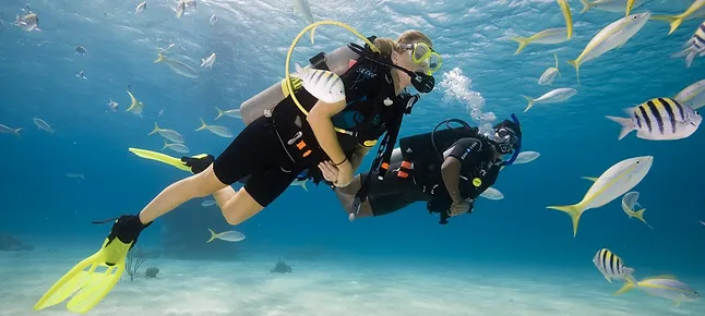 Erleben Sie die Magie der Meere: Ein Tauchgang im Similan Tauchcenter mit Khaolakexplorer