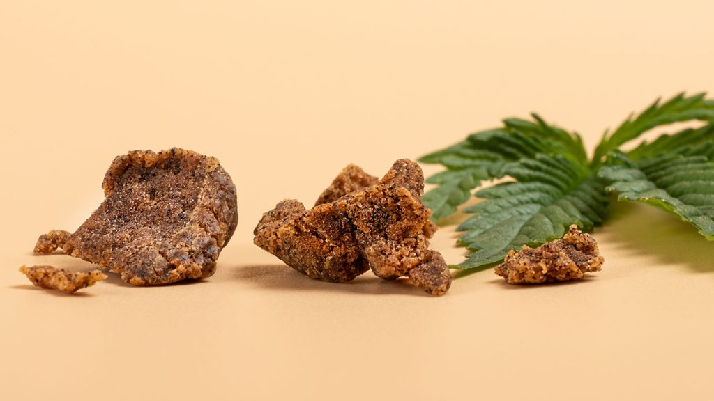brown pieces of hashish and green cannabis leaf on a yellow background